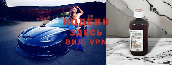 ГАЛЛЮЦИНОГЕННЫЕ ГРИБЫ Инта