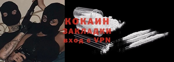 индика Алексеевка