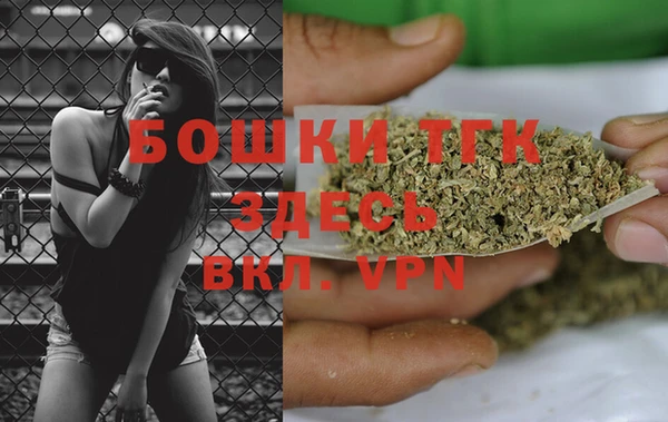 индика Алексеевка