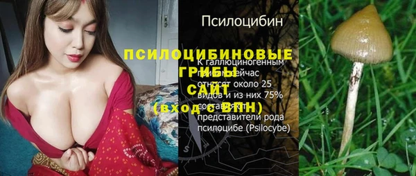 mdpv Пестово