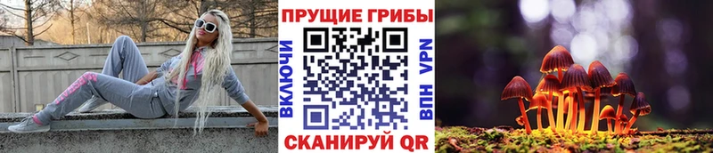 кракен как войти  закладка  Россошь  Псилоцибиновые грибы Magic Shrooms 
